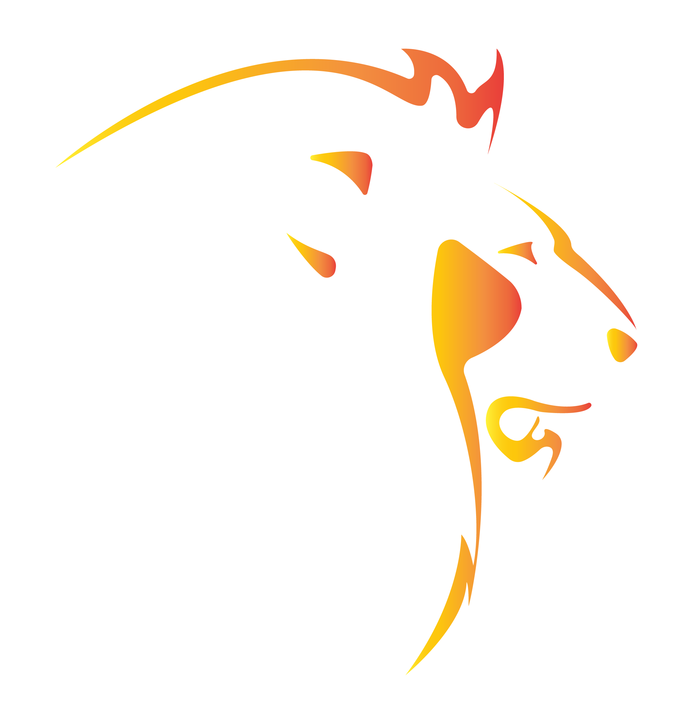 Tech Performance Centre